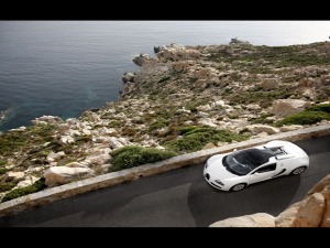 bugatti veyron 2012 top view